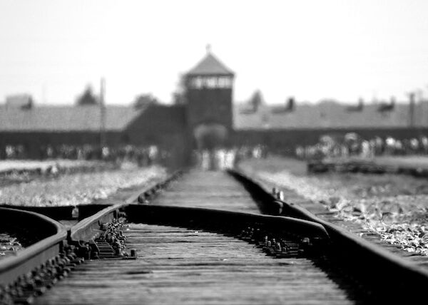 Holocaust? N-am auzit…